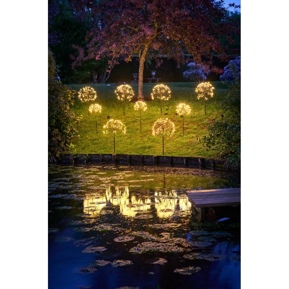 35cm Solar Dandelion Light - The Nancy Smillie Shop - Art, Jewellery & Designer Gifts Glasgow