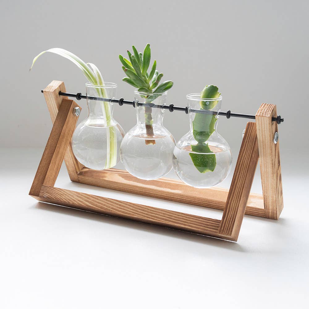 Glass Plant Vases