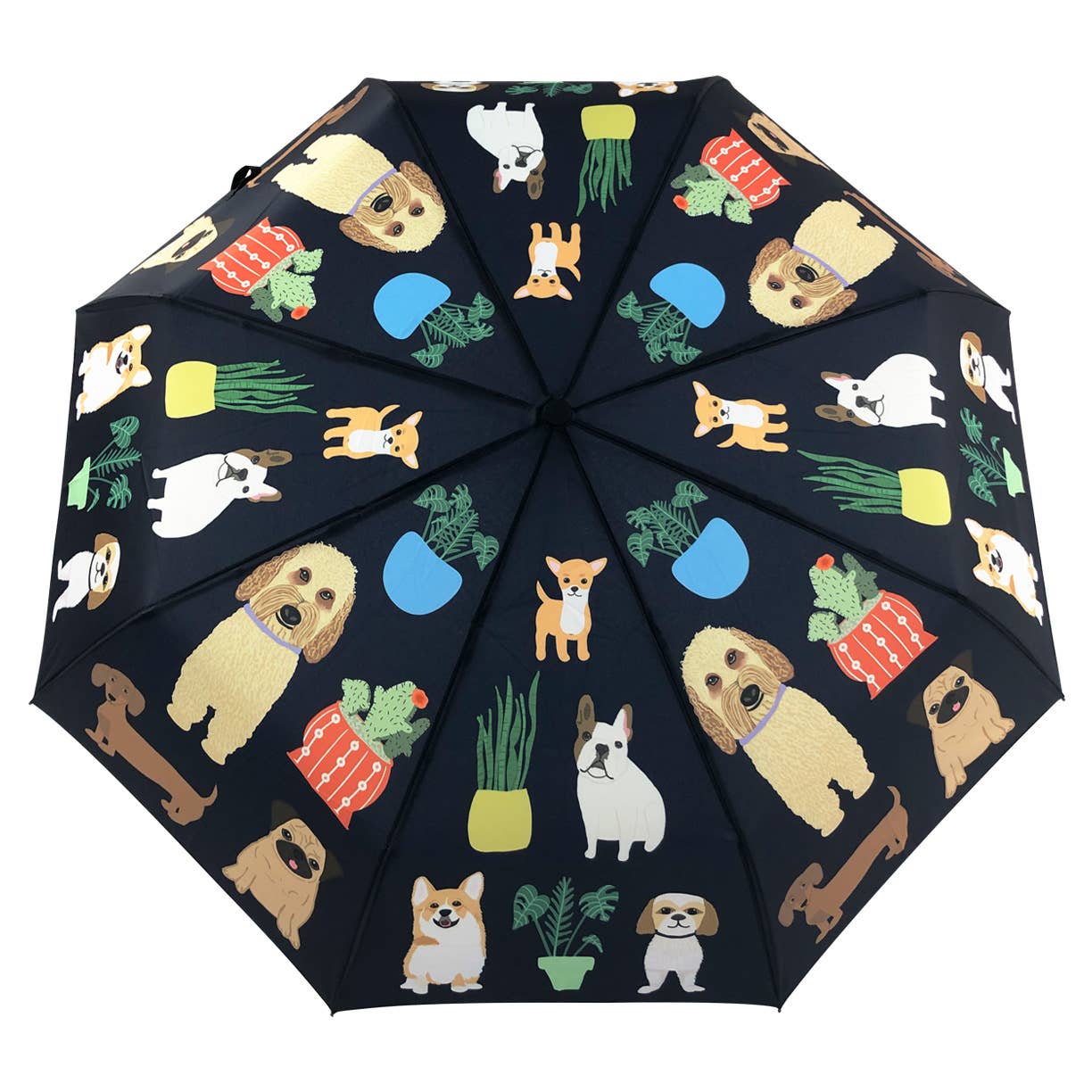 Dog with Plants Umbrella | The Nancy Smillie Shop - Art, Jewellery & Designer Gifts Glasgow Scotland