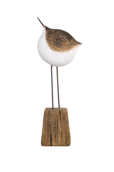 Tall Dipper Bird