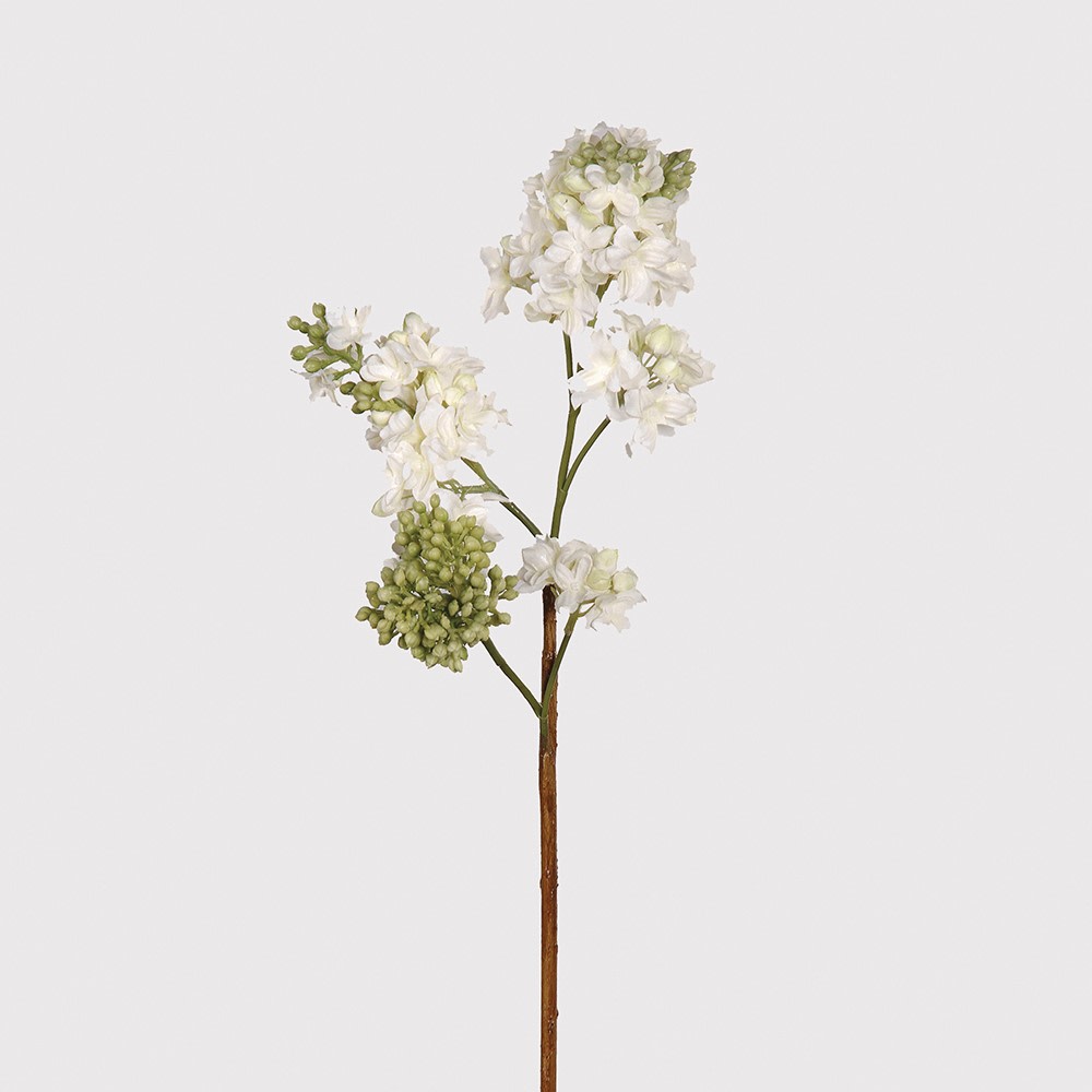 White Lilac Spray - The Nancy Smillie Shop - Art, Jewellery & Designer Gifts Glasgow