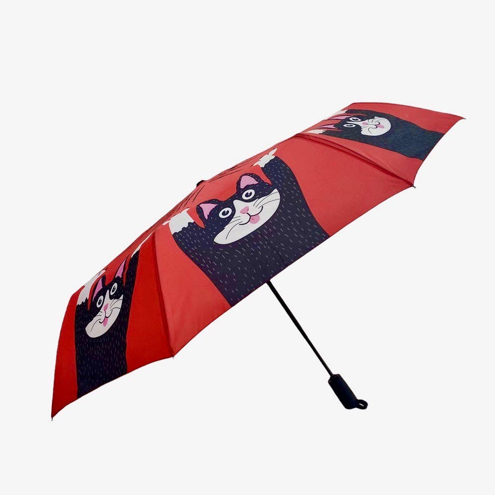 Tuxedo Cat- Made from Scratch Umbrella | The Nancy Smillie Shop - Art, Jewellery & Designer Gifts Glasgow Scotland