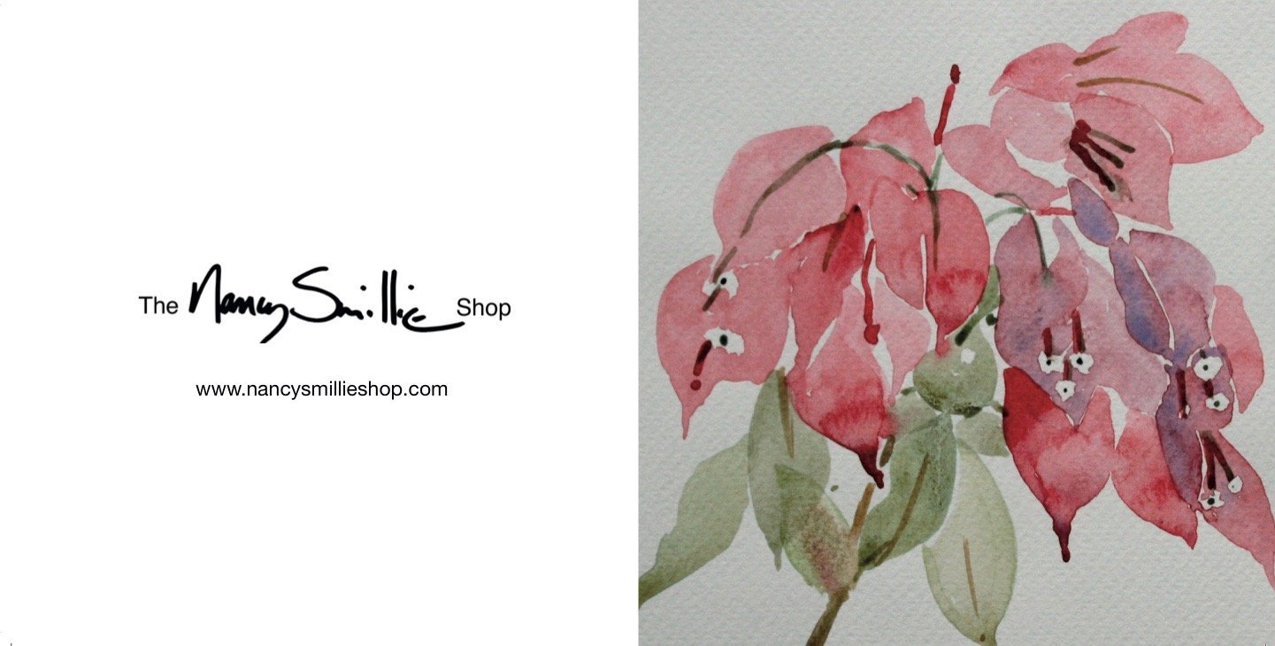 Bougainvillea Flower Card - Pack of 4 - The Nancy Smillie Shop - Art, Jewellery & Designer Gifts Glasgow