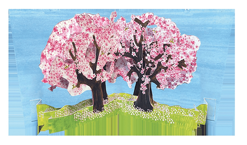 Cherry Blossom Pop-up Card - The Nancy Smillie Shop - Art, Jewellery & Designer Gifts Glasgow