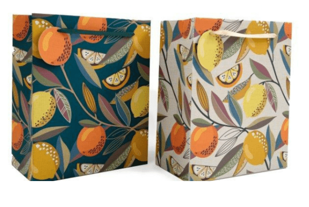 Citrus Gift Bag - The Nancy Smillie Shop - Art, Jewellery & Designer Gifts Glasgow