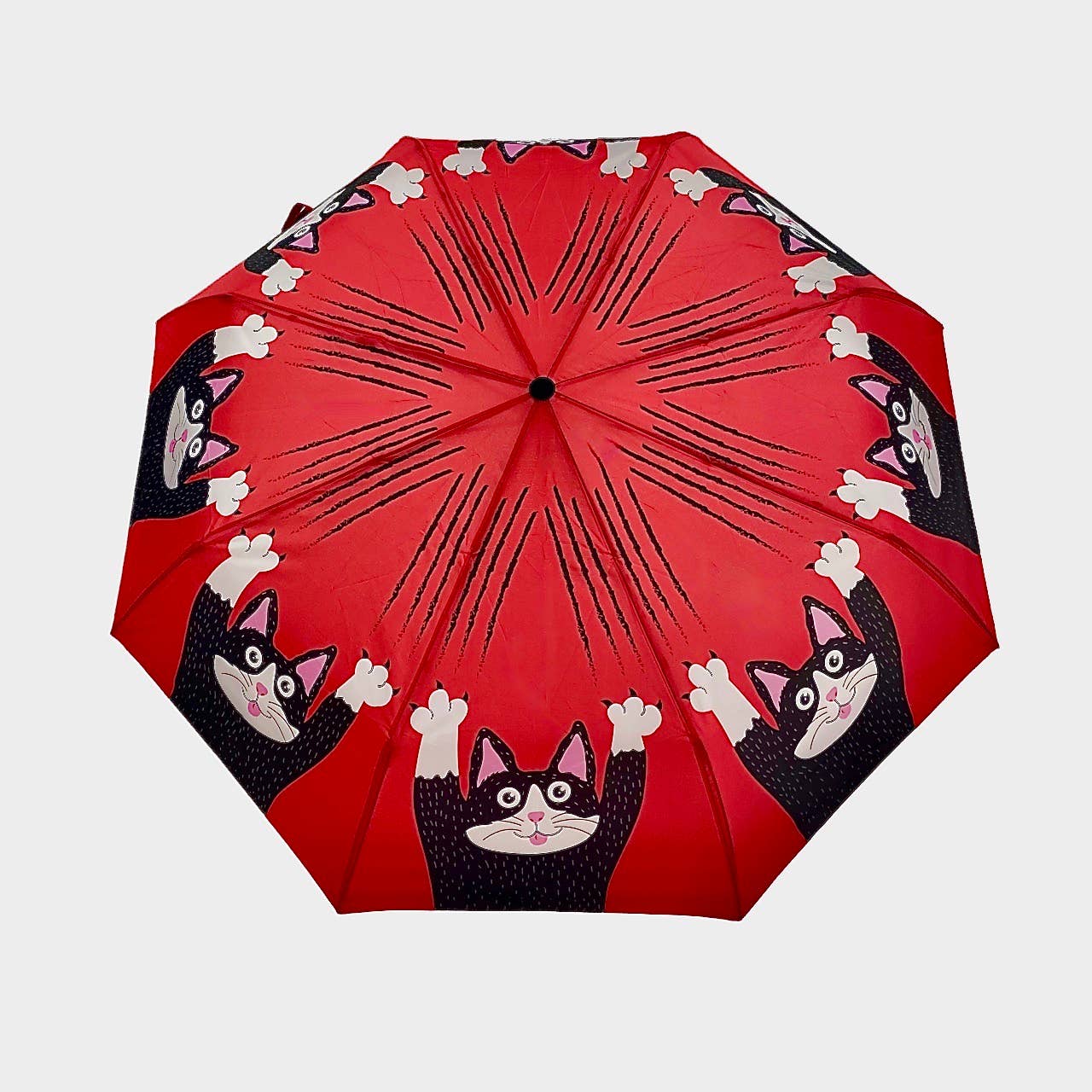 Tuxedo Cat- Made from Scratch Umbrella | The Nancy Smillie Shop - Art, Jewellery & Designer Gifts Glasgow Scotland