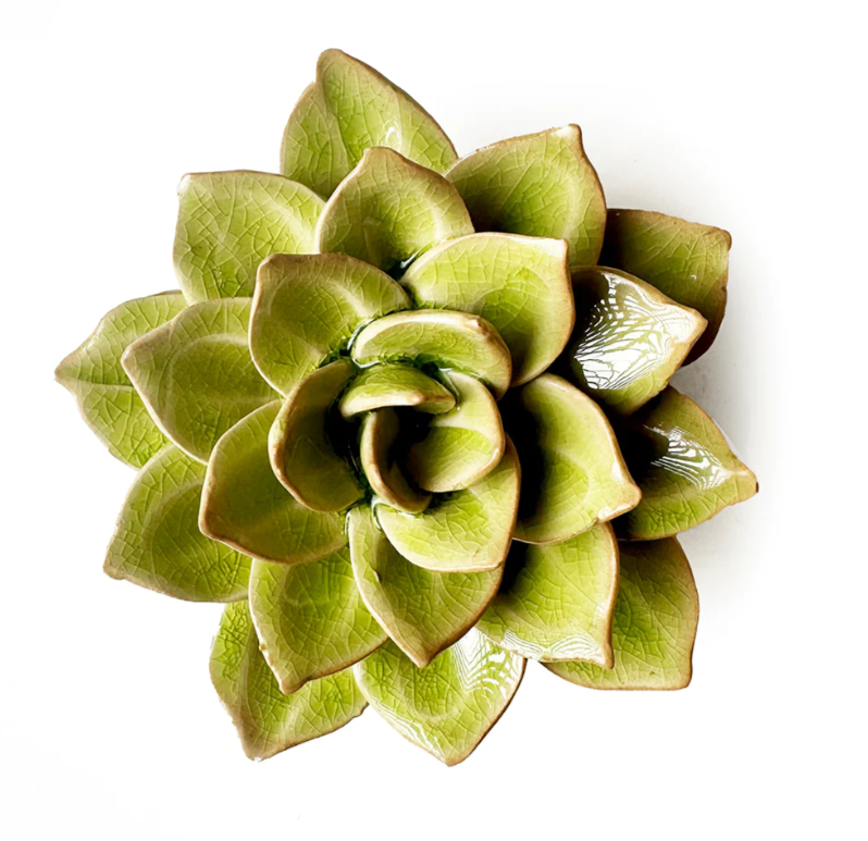 Green Succulent Ceramic Wall Art - The Nancy Smillie Shop - Art, Jewellery & Designer Gifts Glasgow