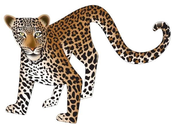 Leopard Spots Card - The Nancy Smillie Shop - Art, Jewellery & Designer Gifts Glasgow