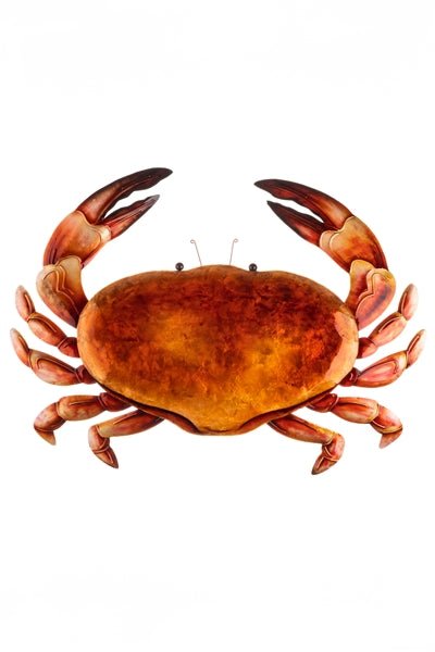 Orange Crab Wall Art - The Nancy Smillie Shop - Art, Jewellery & Designer Gifts Glasgow