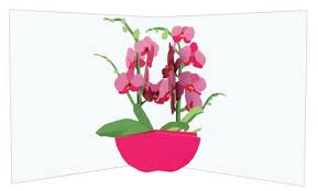 Orchids Pop Up Card - The Nancy Smillie Shop - Art, Jewellery & Designer Gifts Glasgow