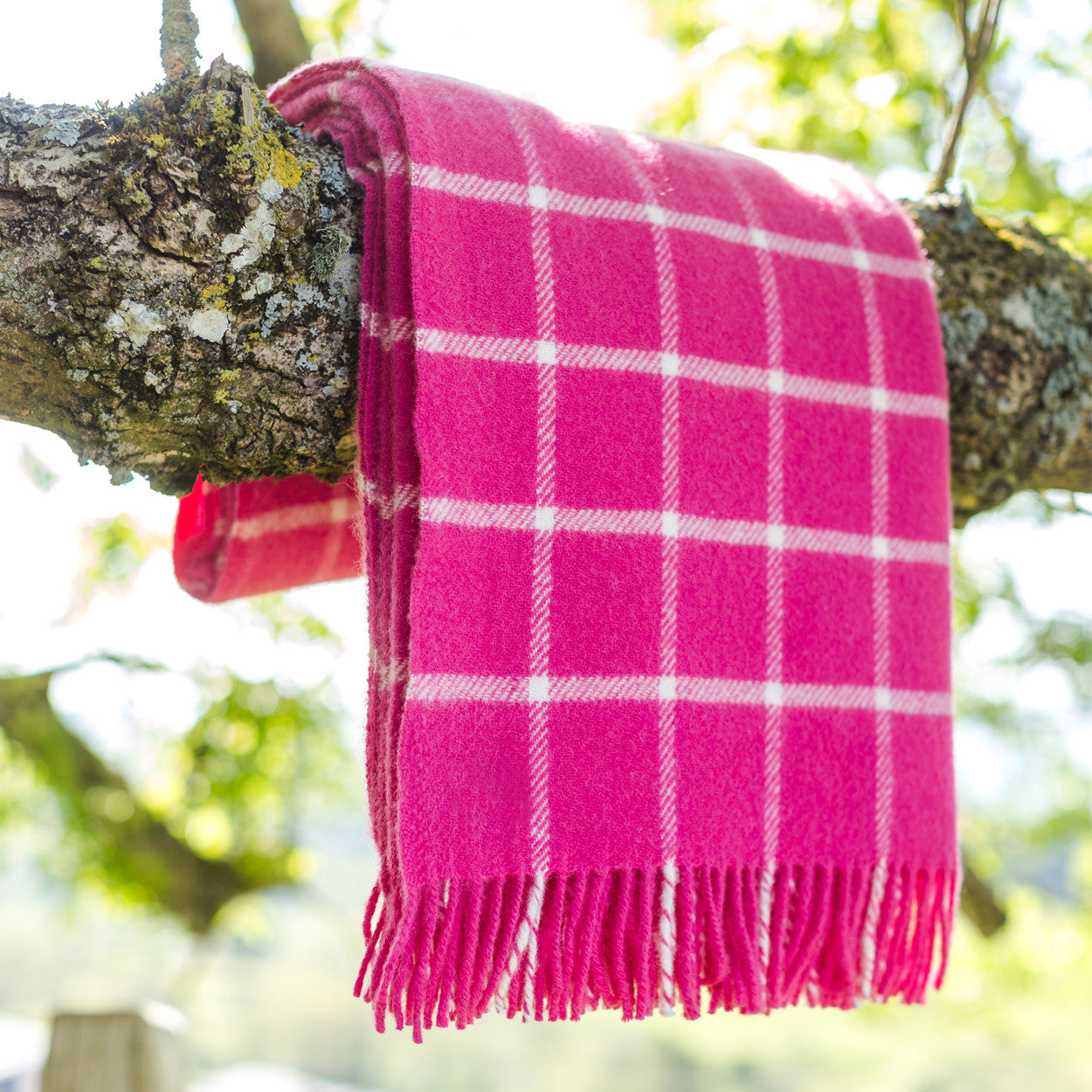 Pink Checkered Throw - The Nancy Smillie Shop - Art, Jewellery & Designer Gifts Glasgow